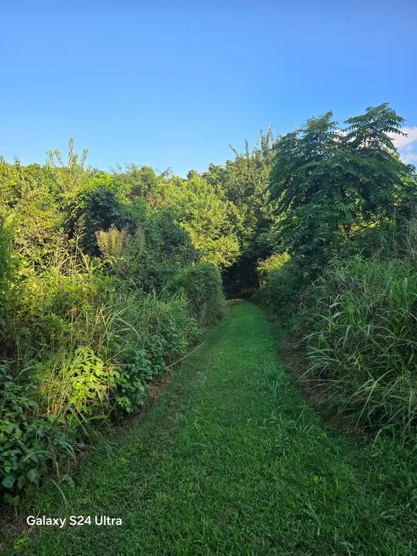 1680 Ragsdale Ln, Pulaski, TN 38478