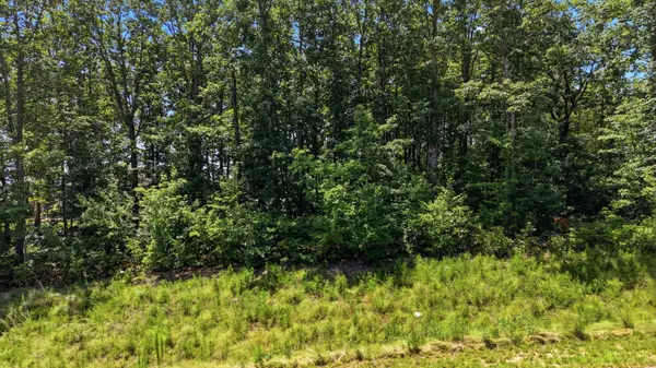 1402 Bent Hickory Road, Signal Mountain, TN 37377