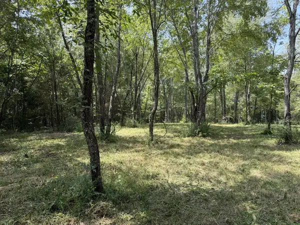2821 Double Branch Rd, Columbia, TN 38401