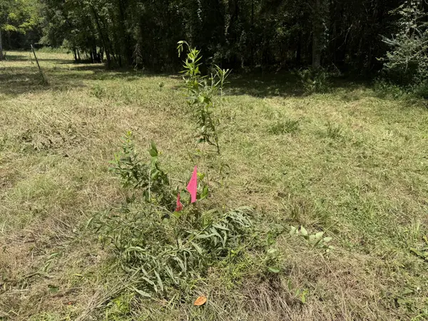 2821 Double Branch Rd, Columbia, TN 38401