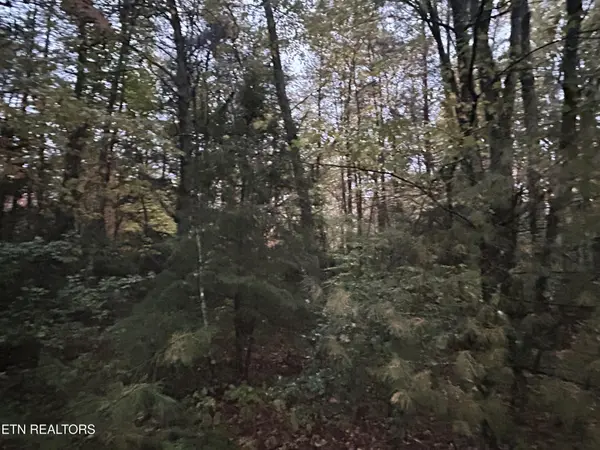 0 Wilder Rd, Clarkrange, TN 38553