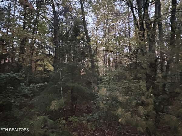 0 Wilder Rd, Clarkrange, TN 38553