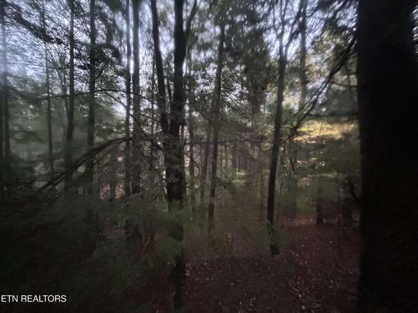 0 Wilder Rd, Clarkrange, TN 38553