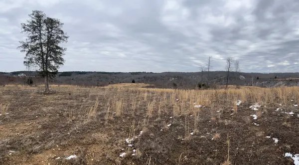 365 Twin Pines Overlook, Lobelville, TN 37097