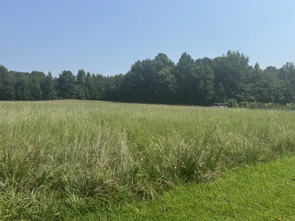 0 Bobbitt Rd, Medina, TN 38355
