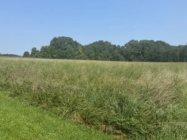 0 Bobbitt Rd, Medina, TN 38355
