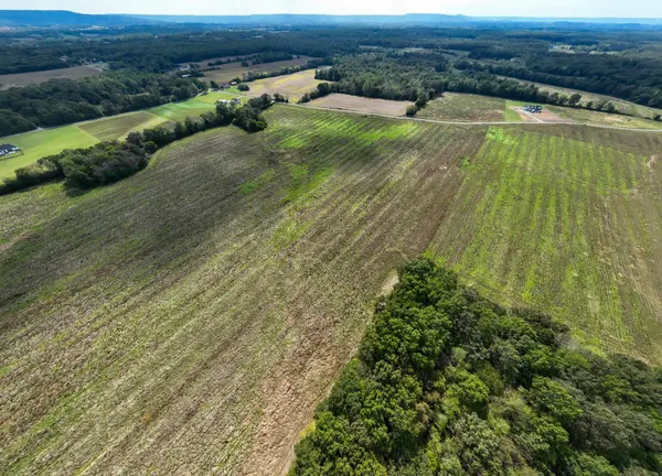 1 Clarence Finney Rd, Hillsboro, TN 37342