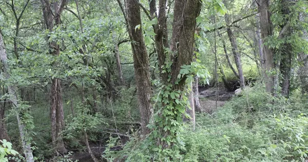 3 Midland Fosterville Road, Bell Buckle, TN 37020