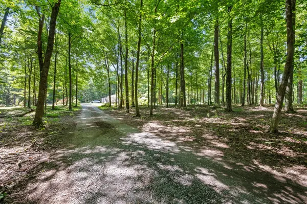84 Laurel Ln, Bradyville, TN 37026