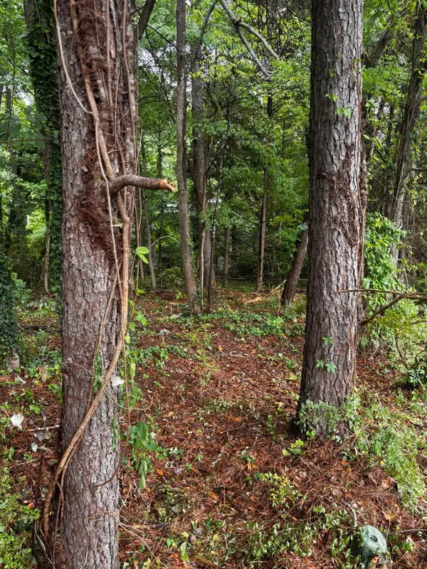 35 Ryman Ridge Road, Dalton, GA 30720