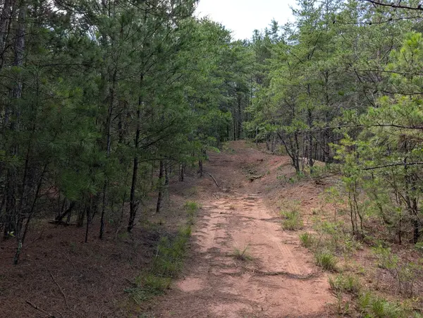0 Belltown Road, Copperhill, TN 37317