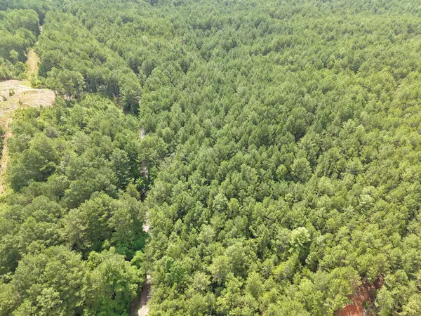 0 Belltown Road, Copperhill, TN 37317