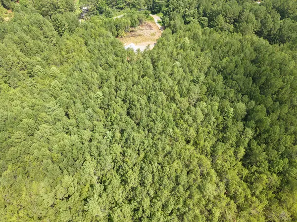 0 Belltown Road, Copperhill, TN 37317