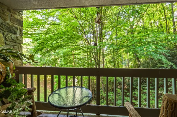 1435 Wiley Oakley Drive #167, Gatlinburg, TN 37738