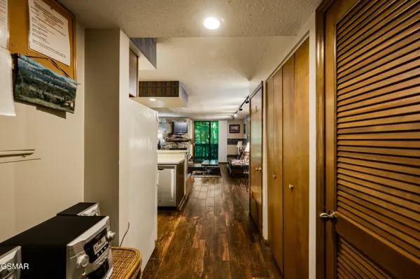 1435 Wiley Oakley Drive #167, Gatlinburg, TN 37738