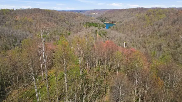 0 VL Wilson, Smithville, TN 37166