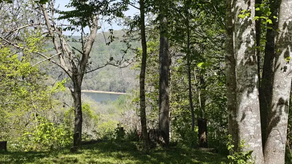 0 VL Wilson, Smithville, TN 37166