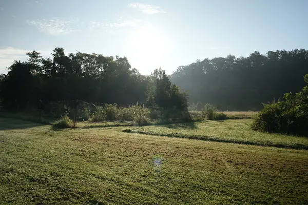 1100 Pond Creek Rd, Ashland City, TN 37015