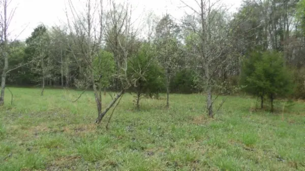 0 Denton Rd, Moss, TN 38575