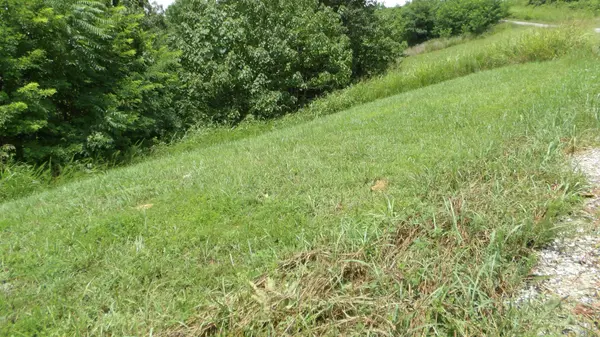 17 D Crappie Lane, Hilham, TN 38568