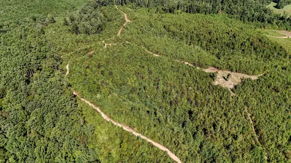 0 Clifton Turnpike, Waynesboro, TN 38485
