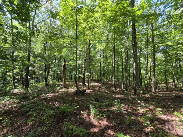 12 Valley View Drive, Altamont, TN 37301