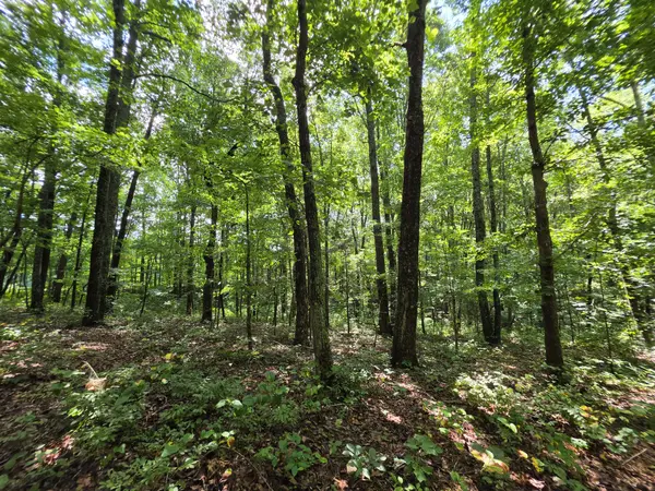 12 Valley View Drive, Altamont, TN 37301
