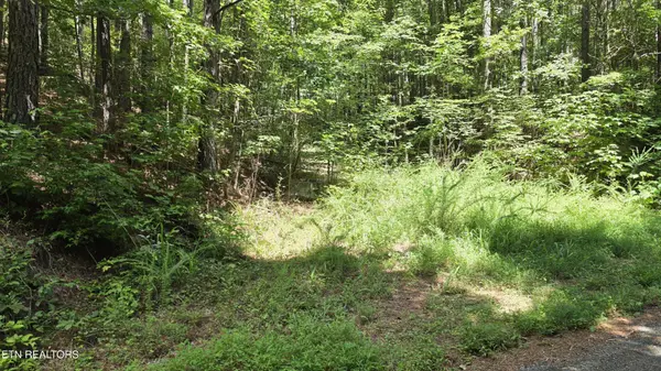0 County Rd, Athens, TN 37303