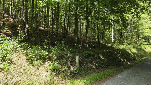 0 County Rd, Athens, TN 37303