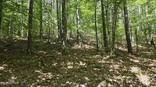 0 County Rd, Athens, TN 37303