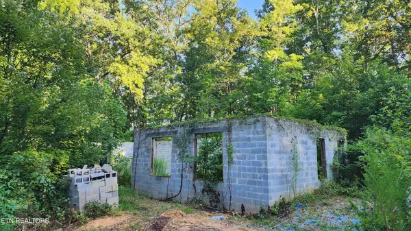375 Goins Hill Road, Ten Mile, TN 37880