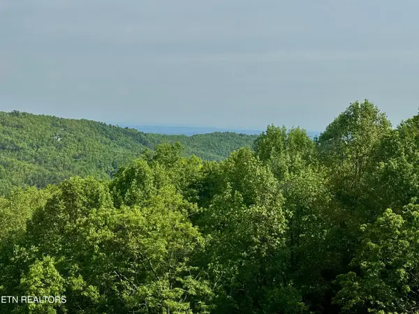 1102 Ski View Drive #UNIT 306, Gatlinburg, TN 37738