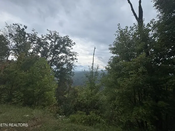 0 Enclave Park Way, Sevierville, TN 37862