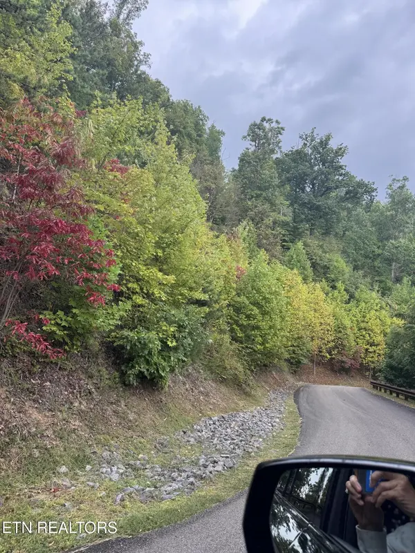 0 Enclave Park Way, Sevierville, TN 37862