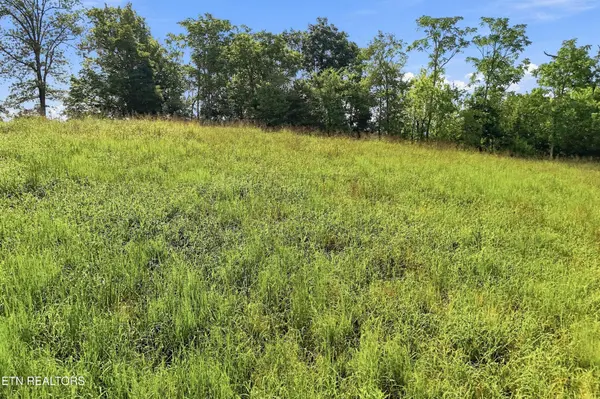 0 Holston River Drive, Rutledge, TN 37861
