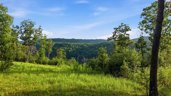 0 Worley Road, Soddy Daisy, TN 37379