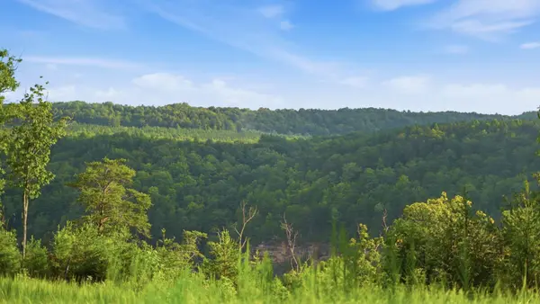 0 Worley Road, Soddy Daisy, TN 37379