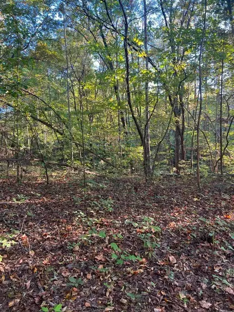 196 Woodstock Dr, Rutledge, TN 37861