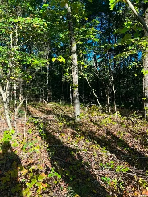 196 Woodstock Dr, Rutledge, TN 37861