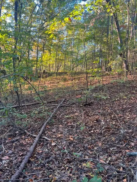 196 Woodstock Dr, Rutledge, TN 37861
