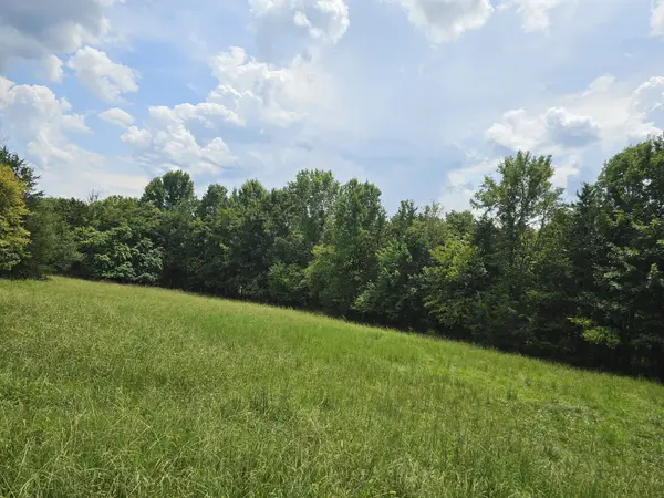 0 Whitfield Hollow Road, Readyville, TN 37149