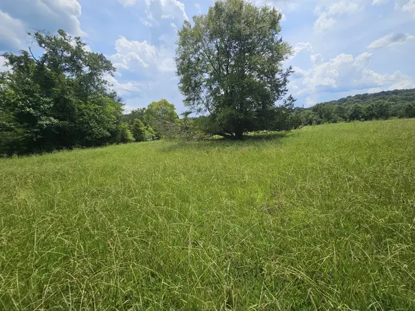 0 Whitfield Hollow Road, Readyville, TN 37149