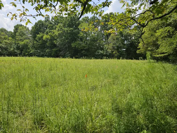 0 Whitfield Hollow Road, Readyville, TN 37149