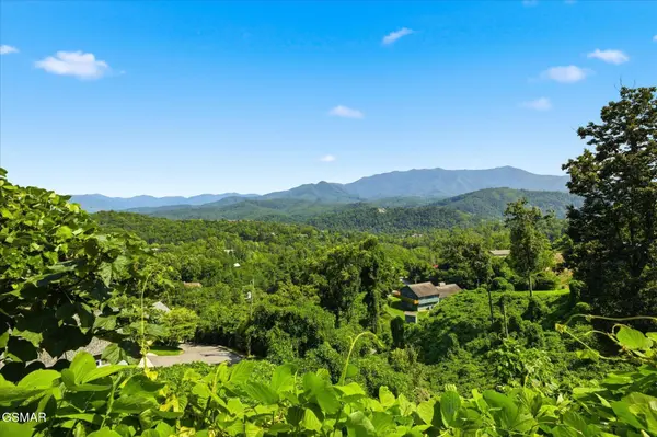 812 Beanstalk Court, Gatlinburg, TN 37738