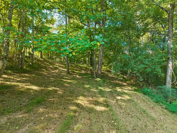 1668 Old Lewisburg Hwy, Columbia, TN 38401