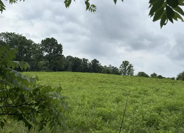 0 Gladdice road, Pleasant Shade, TN 37145