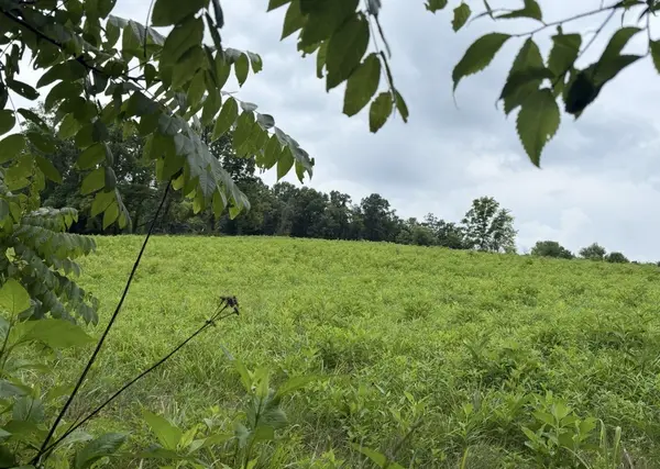 0 Gladdice road, Pleasant Shade, TN 37145