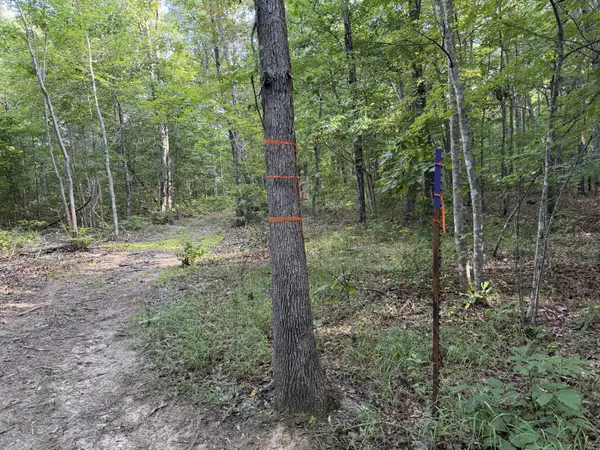 2603 Northcutts Cove Road, Beersheba Springs, TN 37305