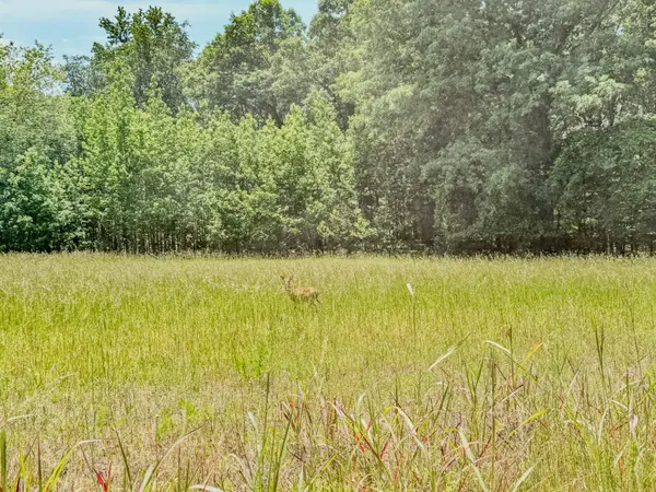 0 Johnson Rd, Lutts, TN 38471