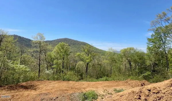 520 Stevia Way, Cosby, TN 37722